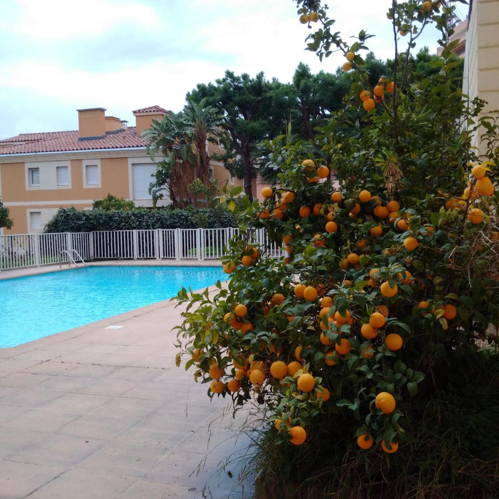 Direct Monaco Studio Devant Piscine Beausoleil Exteriér fotografie