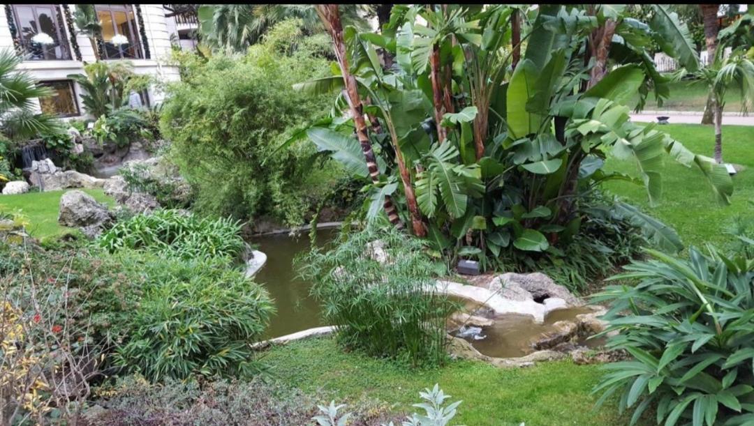 Direct Monaco Studio Devant Piscine Beausoleil Pokoj fotografie